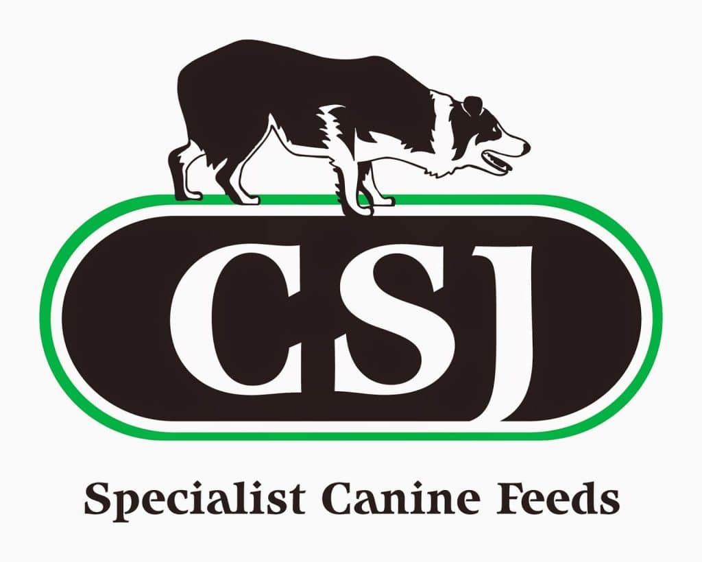 CSJ Logo Text CMYK Black Green FINAL
