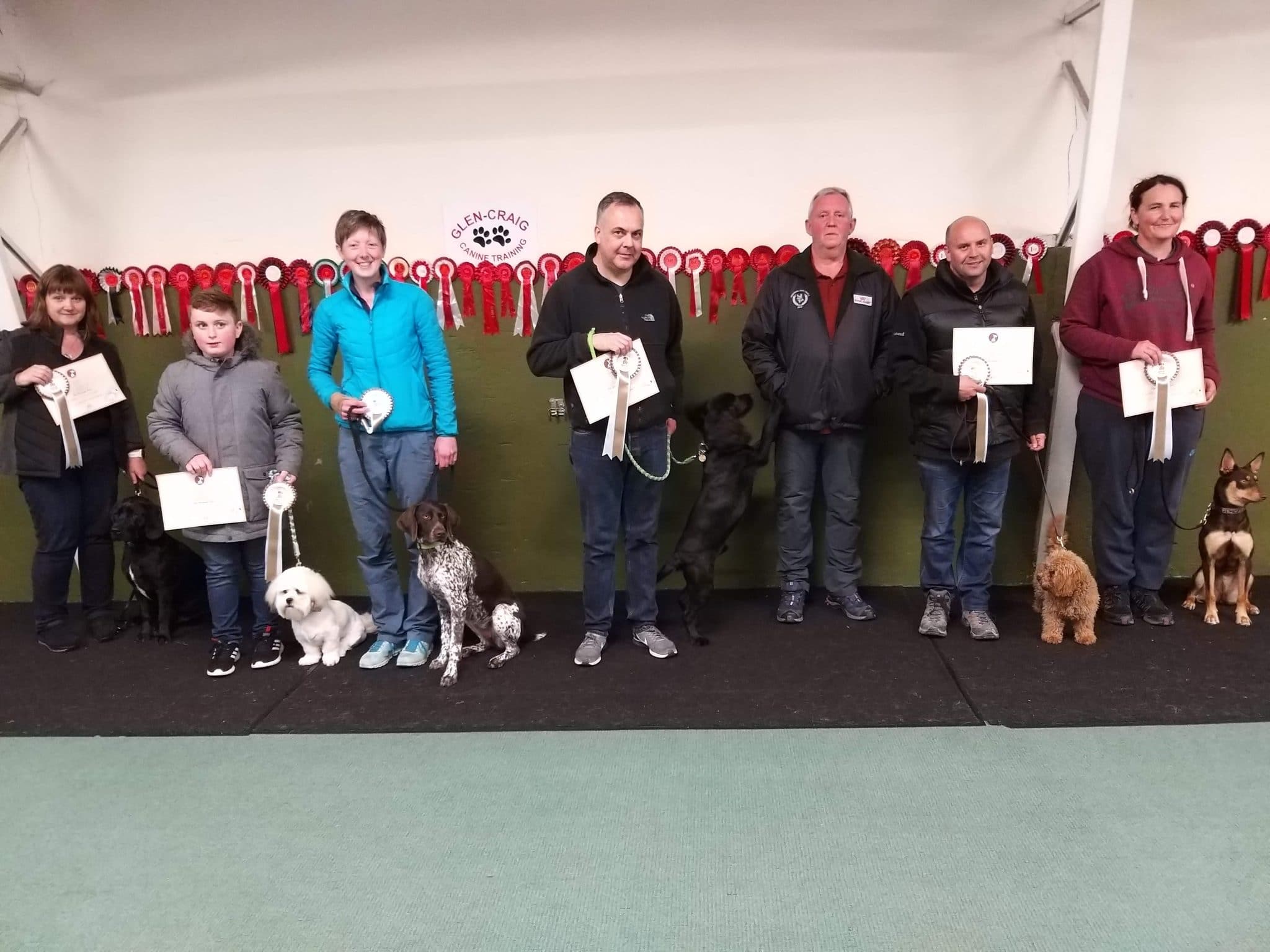Dog training services Belfast