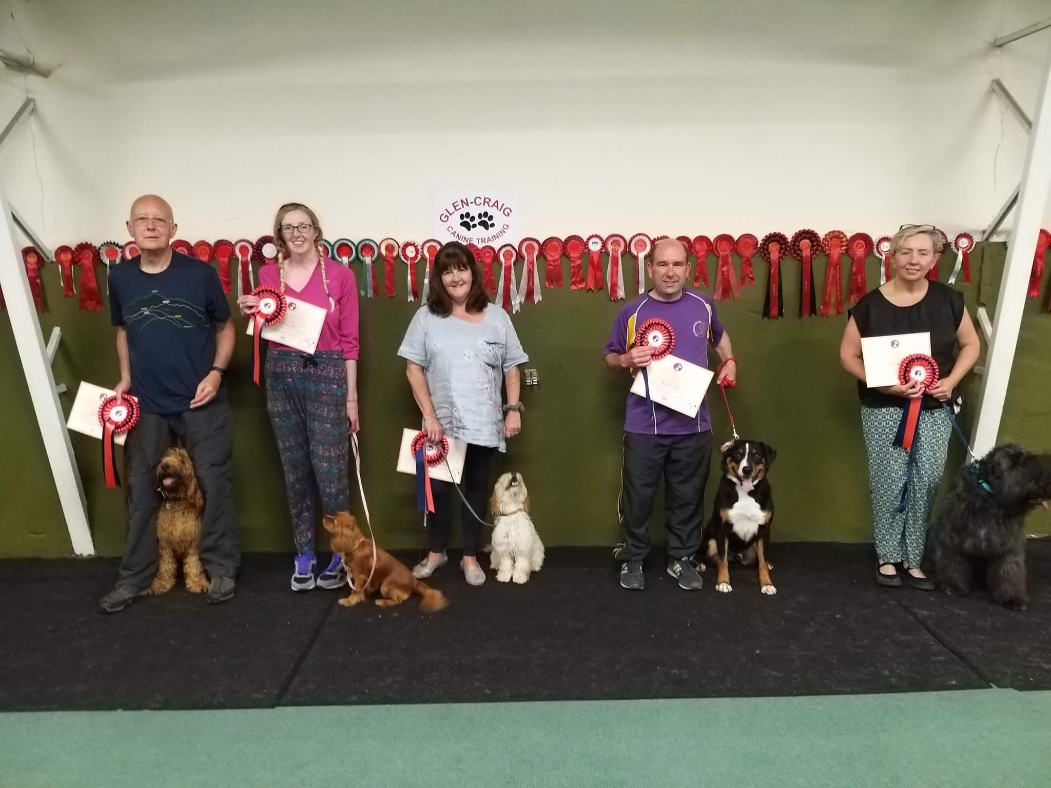 Dog Training Services in Lisburn